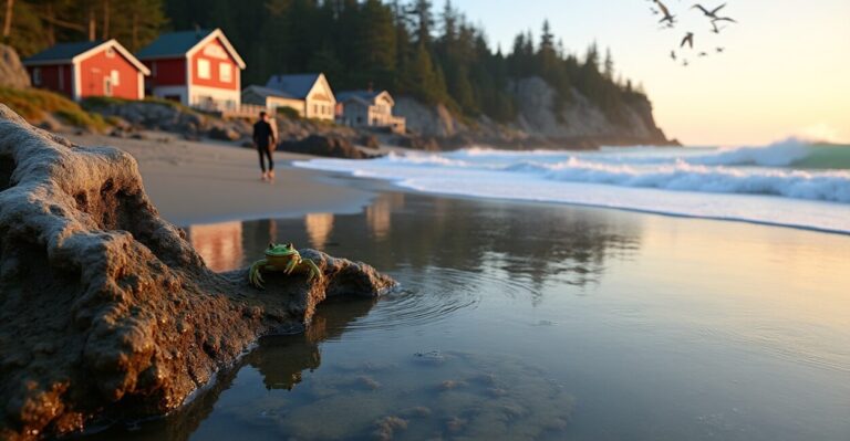 Canadian Coastlines: Top Tides and Coastal Towns to Watch